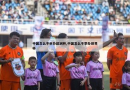 中国怎么不申办欧洲杯,中国怎么不举办世界杯