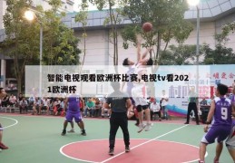 智能电视观看欧洲杯比赛,电视tv看2021欧洲杯