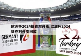 欧洲杯2024捷克对丹麦,欧洲杯2024捷克对丹麦回放