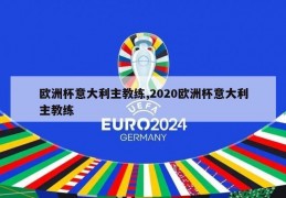 欧洲杯意大利主教练,2020欧洲杯意大利主教练