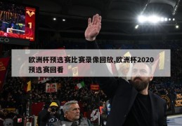 欧洲杯预选赛比赛录像回放,欧洲杯2020预选赛回看