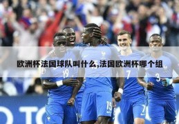 欧洲杯法国球队叫什么,法国欧洲杯哪个组