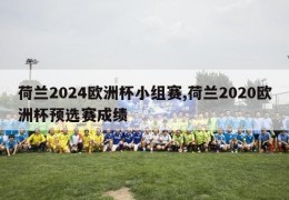 荷兰2024欧洲杯小组赛,荷兰2020欧洲杯预选赛成绩