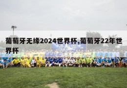 葡萄牙无缘2024世界杯,葡萄牙22年世界杯