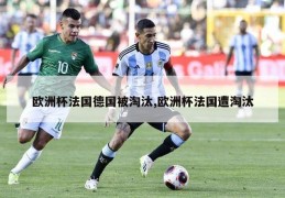 欧洲杯法国德国被淘汰,欧洲杯法国遭淘汰