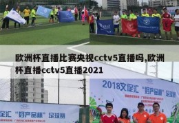 欧洲杯直播比赛央视cctv5直播吗,欧洲杯直播cctv5直播2021