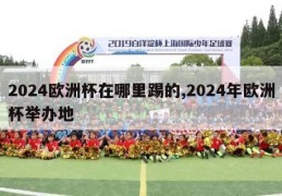 2024欧洲杯在哪里踢的,2024年欧洲杯举办地