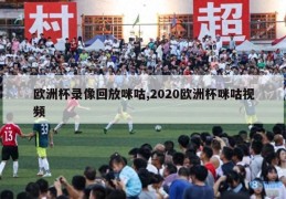 欧洲杯录像回放咪咕,2020欧洲杯咪咕视频