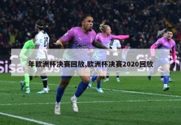 年欧洲杯决赛回放,欧洲杯决赛2020回放