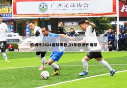 欧洲杯2024用球黑色,21年欧洲杯用球