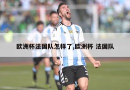 欧洲杯法国队怎样了,欧洲杯 法国队