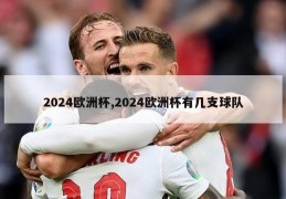 2024欧洲杯,2024欧洲杯有几支球队