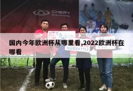 国内今年欧洲杯从哪里看,2022欧洲杯在哪看