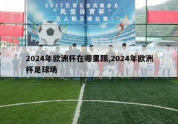 2024年欧洲杯在哪里踢,2024年欧洲杯足球场